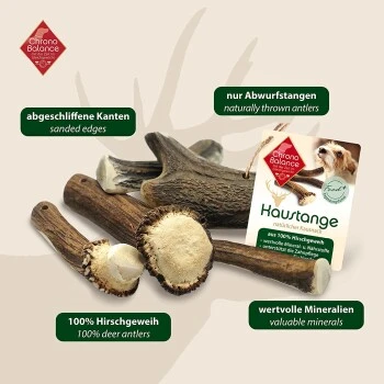 ChronoBalance Geweih Halbiert (S) 2er Paket 5 ChronoBalance Geweih Halbiert (S) 2er Paket – Bild 3