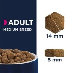 EUKANUBA Active Adult Medium Breed Mit Huhn 15 Kg -Hundebedarf bf65822fe0370303033059fa38f8339997a3575e d641f1d990fc673712c1ebab4fb6bf86b593ed88