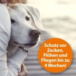 Ardap Zeckenspray Zur Anwendung Am Tier 250ml 12 Ardap Zeckenspray Zur Anwendung Am Tier 250ml -Hundebedarf c211242df7e08f33fd5b606730fbf3d298e6cd4c 1288166 de DE 0495e7c3c66b5adb548c78a490f9c5a9804bc777AYMdPn