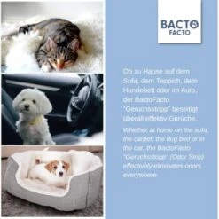 ChronoBalance BactoFacto Probiotischer Geruchsstopp Pads Für 2 Liter 20 Ml -Hundebedarf c27e75fc226c89e592b2af9866887997e79057a8 1397549 de DE 11eaf103bff429178d8c79950fc83faf63345183BU6JEF