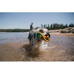 Ruffwear Hydro Plane™ Spielzeug L Blau/ Türkis 19 Ruffwear Hydro Plane™ Spielzeug L Blau/ Türkis -Hundebedarf c85f56c174e45f26bb8b85eb8209e1187b03cb62 1364299 de DE 9aa31f36273b943af3517e0584e57ea49be3ad7aNQkaUi