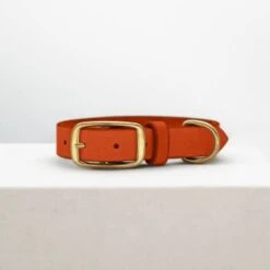 THE DOG IDEA Leder Halsband Orange M 10 THE DOG IDEA Leder Halsband Orange M -Hundebedarf c8786622c4ddb3c106babce32bff1fb4253e061b 1674196 de DE 714570c14a0e5bbdd38df31b81343bdc05cedccbKoLmZ8