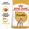 ROYAL CANIN Poodle Adult 7,5 Kg 1 ROYAL CANIN Poodle Adult 7,5 Kg -Hundebedarf c9ab7727cddcc31482d3c927f46669d9f090b5bb df3219920b39736df52bac885423fbb842b2a891