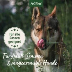 Aniforte Trockenfutter LandChicken - Zartes Huhn Mit Reis 2 Kg 8 Aniforte Trockenfutter LandChicken - Zartes Huhn Mit Reis 2 Kg -Hundebedarf ccdccba22db20132f6ff6d85dd45b1297bf8942a 1668916 de DE ab8d93a2aba26d4d3d9191665a57d8e6fecc366ahRURHR