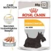 ROYAL CANIN Dermacomfort 12x85g 2 ROYAL CANIN Dermacomfort 12x85g -Hundebedarf cd66adbeb112d8b4449ca88ca88d62a13de2b463 e80f4a6651615b70a3941d70af71b58909332d87