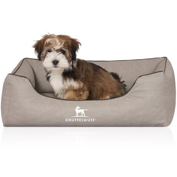Knuffelwuff Orthopädisches Hundebett Rockland Aus Kunstleder Hellgrau M-L 5 Knuffelwuff Orthopädisches Hundebett Rockland Aus Kunstleder Hellgrau M-L – Bild 4