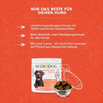 MediDog Gelenk Aktiv Drops 5 MediDog Gelenk Aktiv Drops – Bild 3