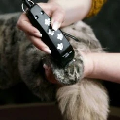 Moser Schermaschine REX MINI 8 Moser Schermaschine REX MINI -Hundebedarf ce7d6c4109e049cdbdcd82f7bfcbb7381eef0260 e0e3a38d8a4786db6e8f11c22b03f620855b1d10