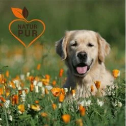 Fit-Crock Sensitive Lamm Maxi -Hundebedarf d00400b932705a0032def11340b375b7a4768c37 1687104 de DE 417fc4870025ac118e61255c96af7b753dccbaf9PWDYNi