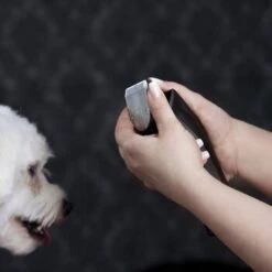 Moser Schermaschine Arco Pro 21 Moser Schermaschine Arco Pro -Hundebedarf d1c65d2d167a6d8fa4a6793a53ee3362d025451e ecb090312fbe9e8eac9c719cb575336bebaad472