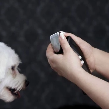 Moser Schermaschine Arco Pro 11 Moser Schermaschine Arco Pro – Bild 9