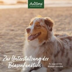 Aniforte Blasen-Formel 100 G 9 Aniforte Blasen-Formel 100 G -Hundebedarf d25d3661361b06eee38a04b20938bbdf85998be2 1422215 de DE a0c210c4cd86bcfbfd66be1e960c83da8c5f98afnDvGsl