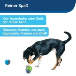 PetSafe Elektronisches Hundespielzeug Ricochet -Hundebedarf d4449f153a2c132dbacdcffdb9e5bd1534d39124 1418724 de DE f83cfc689e8023f0b85b6eeadf79a2629df4d4f153I9wY