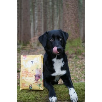 WOW Junior Geflügel Mit Karotte 6 Kg 4 WOW Junior Geflügel Mit Karotte 6 Kg – Bild 2