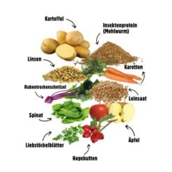 Eat Small EatSmall 2kg Balance Trockenfutter 13 Eat Small EatSmall 2kg Balance Trockenfutter -Hundebedarf d6b4fd39be7c6218522ac7224a454c6cc44b52c0 1397966 de DE 6283572904307389a0bc941157f085e96ce5449bORWOx4