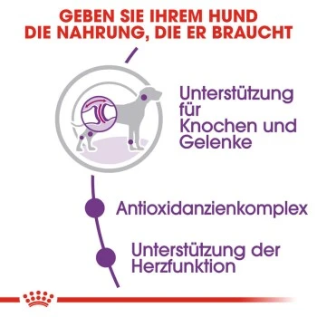 ROYAL CANIN Giant Adult 15 Kg 7 ROYAL CANIN Giant Adult 15 Kg – Bild 5