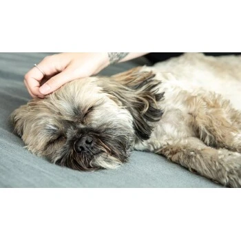 Mammaly Forever Young 110g 6 Mammaly Forever Young 110g – Bild 4