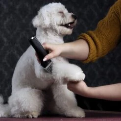 Moser Schermaschine Arco Pro 18 Moser Schermaschine Arco Pro -Hundebedarf d94979d61f2023cf0118c8257a8bd4066fa8858b ed4a0b808fc43743a84927566ac43a708eadd5ba