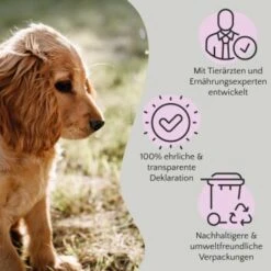 FAVLY Petfood FAVLY Probierpaket "Starter" 17 FAVLY Petfood FAVLY Probierpaket "Starter" -Hundebedarf dbf0342643afa9a24ad89aa12b091729873bd5f5 1475313 de DE 908544d2c24927cde4ce8f1acefe41ebea7bec298Nltw8