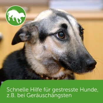 ADAPTIL Chew 30 Stück Anti Stress Snack 6 ADAPTIL Chew 30 Stück Anti Stress Snack – Bild 4