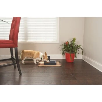 PetSafe Digitaler Futterautomat Für 2 Mahlzeiten 7 PetSafe Digitaler Futterautomat Für 2 Mahlzeiten – Bild 5