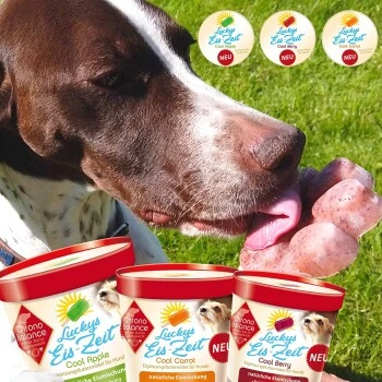 ChronoBalance Hundeeis Zum Selbermachen 3 X Cool Berry + Form Beeren 4 ChronoBalance Hundeeis Zum Selbermachen 3 X Cool Berry + Form Beeren – Bild 2