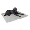 Kerbl Thermoteppich -Hundebedarf df1195f787c225351547144f3dd7fef69fcfa6f5 e656a82815feb97bde6cf769f3408c1792de0926