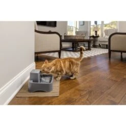 PetSafe Trinkbrunnen 1,8 L -Hundebedarf df488cf045110a6e0d24fcded3d81de07583d88a 1323706 7