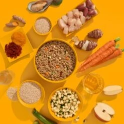 Fred & Felia FRED 10x390g SENIOR Huhn 13 Fred & Felia FRED 10x390g SENIOR Huhn -Hundebedarf e1b79ce4fcca78b65f2ddaac058c7cf51127f885 1425480 de DE 5839e137be146b37eefb17001235cabca1ecb533rKnH4N