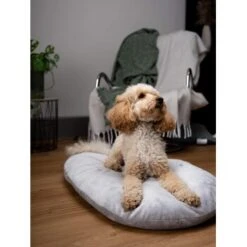 TrendPet Emma Liegekissen Grau S -Hundebedarf e1f49f3f48a58424cecbf3d7f3d742e23794daa3 1369472 de DE 72717bce09167bc5b40d86e8fdc95e5a6185817eDWeAfm