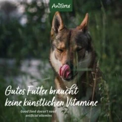 Aniforte Special Mix 2,4 Kg -Hundebedarf e20a123308d600345a9f03a897a253fd40dde3f4 1422198 de DE 12b8cfe33ee675107bc8329d05c3a48ecec8adba1Vr43t
