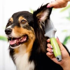 Moser Flexible Zupfbürste - Zweiseitig 6 Moser Flexible Zupfbürste - Zweiseitig -Hundebedarf e2e31ce1b9db25ecc348a2d85aadccc0bd154c07 92508ef434f51f38c9229172dc6a302f9d8bf899