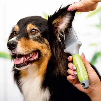 Moser Flexible Zupfbürste - Zweiseitig 4 Moser Flexible Zupfbürste - Zweiseitig – Bild 2