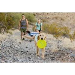 Ruffwear Camp Flyer™ Spielzeug Gelb -Hundebedarf e4a37a6a829a29e9ccf8cc78751e0fdb21b1f16a 1444349 de DE aecf8c0098a10a43cb5986118c66a87955de58baPHiPKl