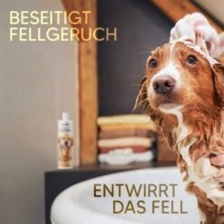 Pawlie's Hundeshampoo Für Langhaar -Hundebedarf e65234d72e0adb949f3fa491484e6ad7c7481584 1626203 de DE ce4f7e431ef810d9abd2a895abbb82da132a6dd7K3n77W