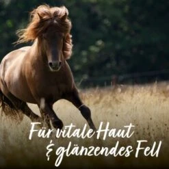 Aniforte Bierhefe Pulver 250 G -Hundebedarf e90f799f42291bc99923416c38244a01fcbd0b4c 1665877 de DE 065f59ee75fc3ae72a0315edf84d964644e562bc3Nrs7r