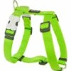 Red Dingo Geschirr 30-48 Cm Einfarbig Neon Grün -Hundebedarf e98600ea188f77053e0700f2da479a5d288d43e7 1359760 de DE 4ebff62d9bc32fbb533d89a864ee7e4773999169avNUTh