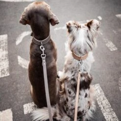 Freudentier Führleine Aus Leder Braun/ Grau 2 Cm 16 Freudentier Führleine Aus Leder Braun/ Grau 2 Cm -Hundebedarf ed7363242b5af0aeac560375765364d8d1a9d7ca 1421435 de DE d40365deffc471619a8891f2d10bbb6785191840MHr5Vx