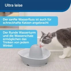 PetSafe Trinkbrunnen Streamside -Hundebedarf ee5d1cfd3457a4c83b6ba68fc6abda0edd663a8e 1423698 de DE 6d92f4871f3506c5885c377adc24f78b639f6d3d5ZLvx6