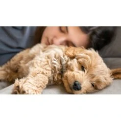 Mammaly Puppy Power 110g 15 Mammaly Puppy Power 110g -Hundebedarf ee84baad2292c99133ef1aa1b1de8be40c6f9e3a 1472892 1