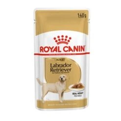ROYAL CANIN Labrador Retriever Adul Stückchen In Soße 10x140g -Hundebedarf f0892313f0d9ad52ef59fb6af3d60d40ea79714f 1344592 de DE rc3