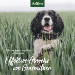 Aniforte Grasmilben-EX Spray Für Hunde 500ml 8 Aniforte Grasmilben-EX Spray Für Hunde 500ml -Hundebedarf f1681a58b880d49267b5877e09c99fc6406a033b 1655910 de DE e3905507b4127feea49671bfd5a4aadf45361666Vq4xRH