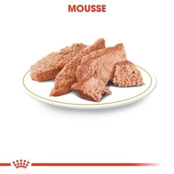 ROYAL CANIN Dachshund Adult Mousse 12x85g 6 ROYAL CANIN Dachshund Adult Mousse 12x85g – Bild 4