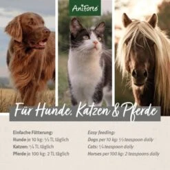 Aniforte Leinöl 1 Liter 15 Aniforte Leinöl 1 Liter -Hundebedarf f42968b5dfd659491d4efafea0cfdb4a43b5c31d 1458836 de DE 9e094d55dcdb8e8729a2d83a117b6d6b004537abHj6Pwt
