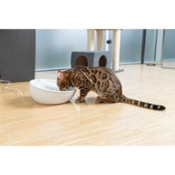 AniOne Keramik-Trinkbrunnen Waterfall Weiß Ohne Ersatzfilter -Hundebedarf f5666e2f535275128e81462f19991e450c3d3f87 c66954489332ac4ff326811e24559ef9b2854fac