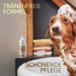 Pawlie's Welpenshampoo 12 Pawlie's Welpenshampoo -Hundebedarf f56801adb1bee6d0b5fdd328d641fa773ce5d4c4 1626204 de DE 7b87b87a2e48e8c0e12b98c918c4d75b538aae40E5TfEc