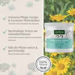 Aniforte Pfotenschutz Balsam 120ml Sommer & Winter -Hundebedarf f6352728d2d295839a5f9bac2123e02ea5cfd66d 1480491 de DE b4b6382b0452d366b3ffc33798d9e5be379c6ee9yrOk4E