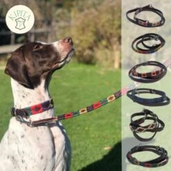 Kipita Polo Hundeleine Classic 11 Kipita Polo Hundeleine Classic -Hundebedarf f86aae5f01ccb0fa2be4e64b3698130c3af93e02 1410955 de DE 0bc8d688bd07984d484eea2e3dc3f790086fea45s1x5Vw