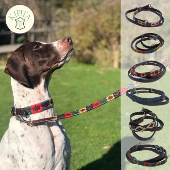 Kipita Polo Hundeleine Classic 6 Kipita Polo Hundeleine Classic – Bild 4