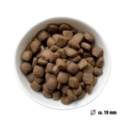 Eat Small EatSmall 3x2kg Maxi Active Trockenfutter -Hundebedarf fbbfaf0a833b49c22c426aa2a84c1e89a7061771 1492081 de DE 7be7b6abbd10a501ad4eda906b0ca458956766a1RjBOXJ